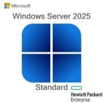 Server 2025 Standart ROK (P77100-A21)
